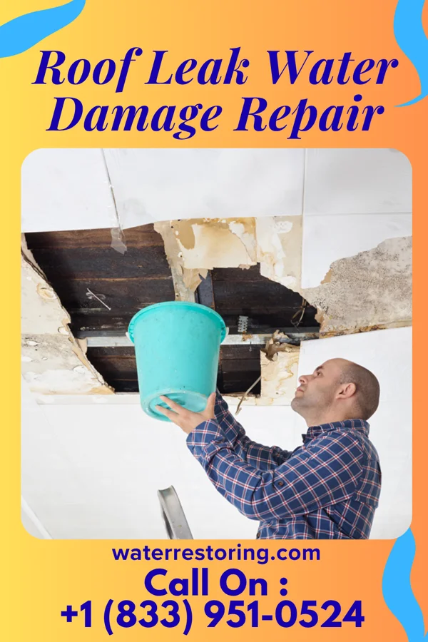 Roof Leak Water Damage Repair in Wallace, LA